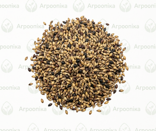 Суданка біла 40кг AG99923 фото